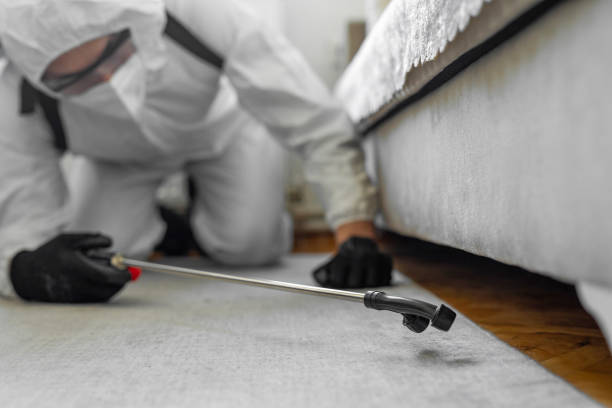Professional Pest Control technician working in Holley, NY