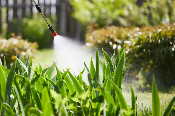 24/7 Emergency Mosquito Control experts in Holley, NY