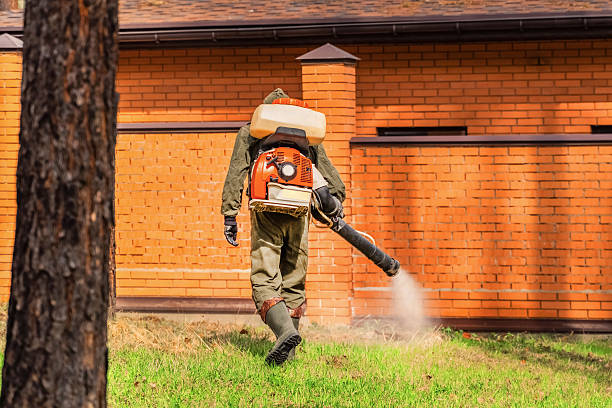 Trusted Termite Control service in Holley, NY - Nex Pest Control